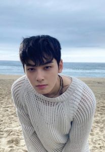 ชาอึนอู ชาอึนอู