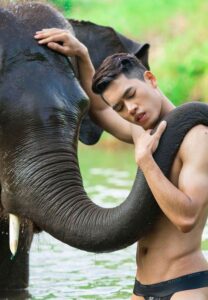 รอน-อภิชาต-ช้าง รอน-อภิชาต-ช้าง