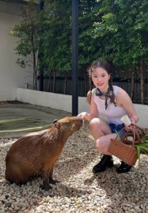 ประวัติ แอลลี่ อชิรญา