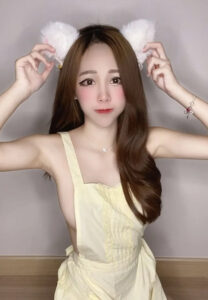 meeyokko-cat น้องหมี่หยก Meeyokko