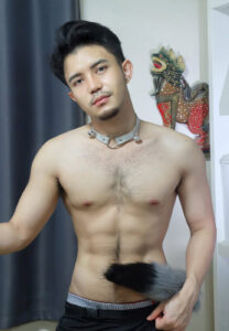 jaydaisornram-Cat1 jaydaisornram