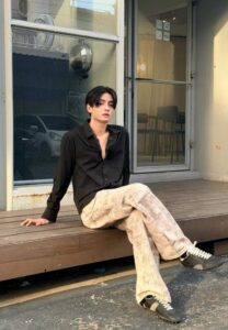 ขุนพล ปองพล ซีรีย์